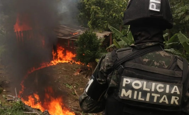 Más de 4 millones de plantas de “coca” destruidas, destaca PMOP entre sus&nbsp;logros