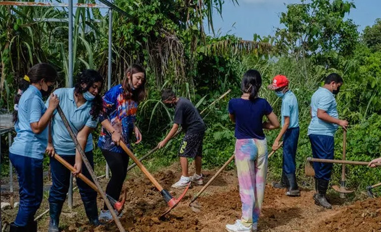 La Alcaldía se suma a las «Ciudades&nbsp;Verdes»