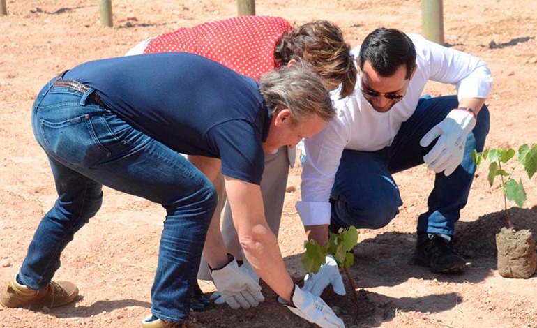 Impulsan viñedos en el occidente de&nbsp;Honduras