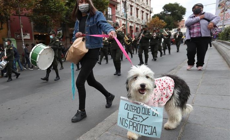 Marcha contra el maltrato&nbsp;animal