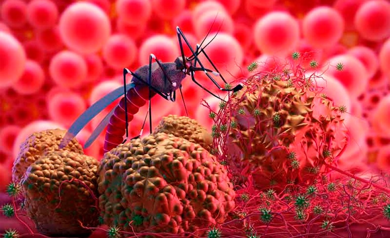 Alarma por alto número de enfermos de&nbsp;dengue