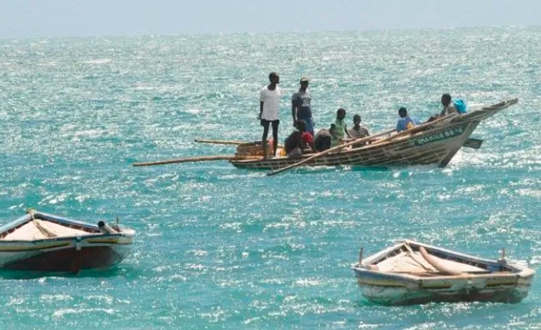 Hallan muertos a 20 migrantes&nbsp;haitianos