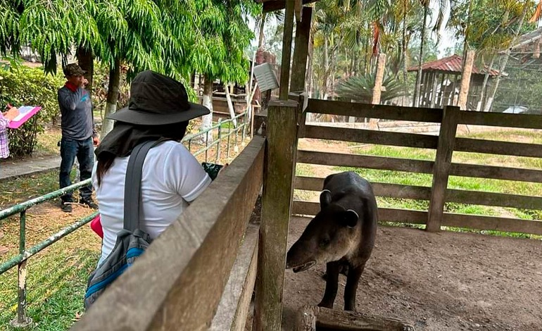 Fiscalía conoce del pésimo estado de salud de animales en Joya&nbsp;Grande