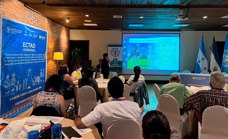 Honduras sube alertas ante enfermedades transfronterizas 