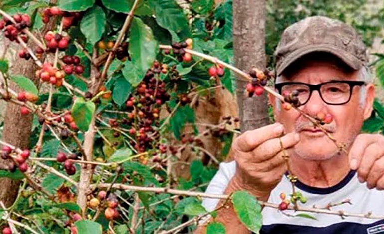 Cambio climático amarga a la&nbsp;caficultura
