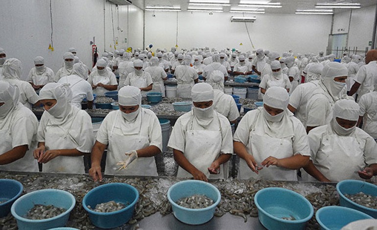 En riesgo más de 30 mil empleos en la zona&nbsp;sur