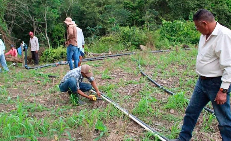 Jamastrán entra al Sistema de Patrimonio Agrícola&nbsp;Mundial