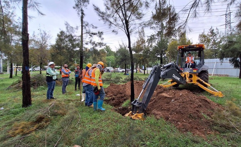 Masivo trasplante de árboles, como solución vial hacia&nbsp;Mateo