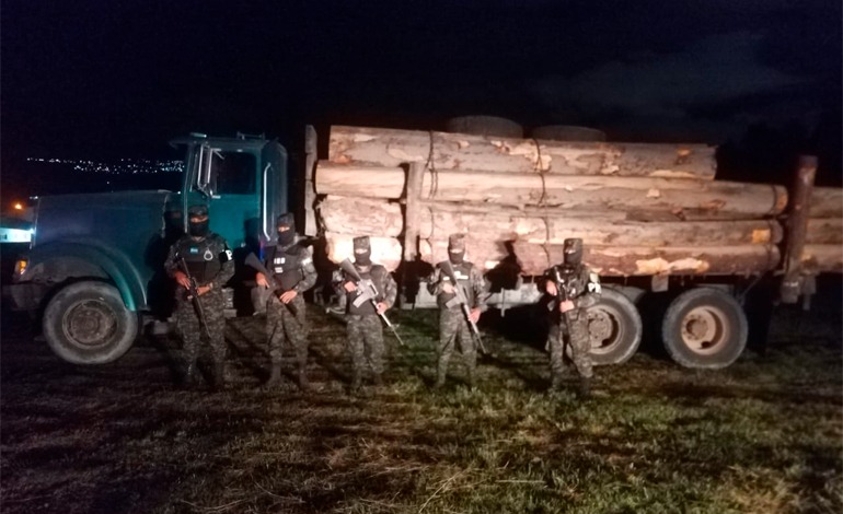 FFAA decomisa camiones con madera en salida a&nbsp;Lepaterique
