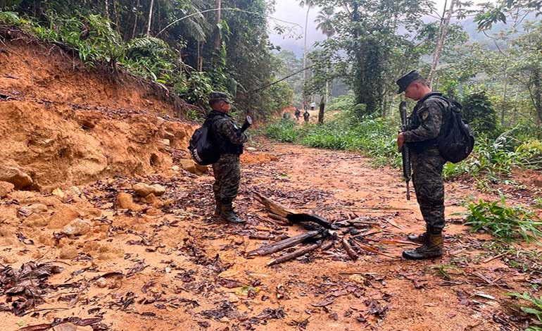 A todo vapor deforestación del&nbsp;Merendón