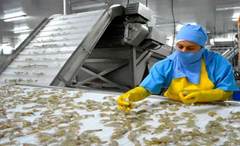 Camarón que se duerme…  “crisis sin&nbsp;precedentes”