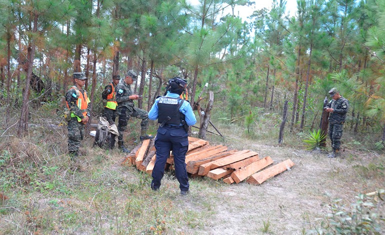 Con una motosierra descabezaron ambientalista y su&nbsp;hijo