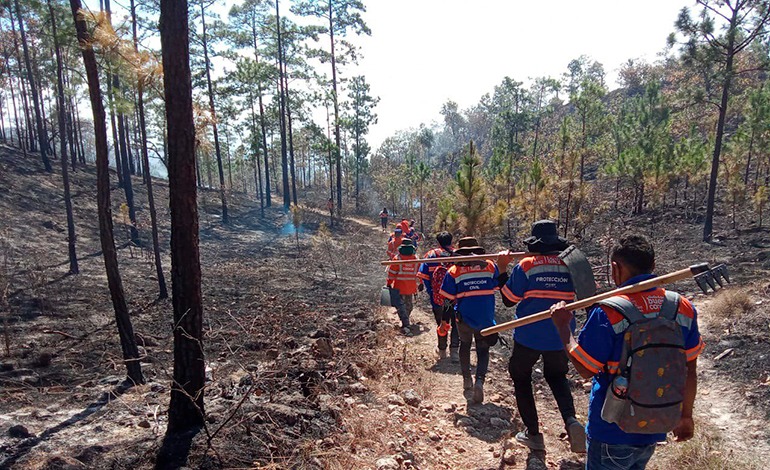 Bajo fuego la&nbsp;capital