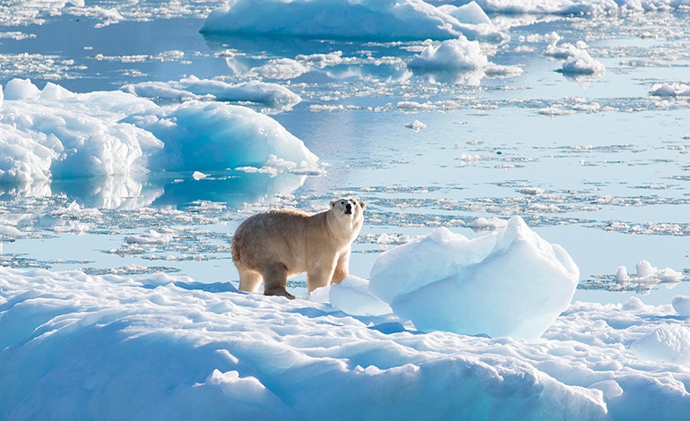 El hielo se derritió 17 veces más rápido que los medios&nbsp;históricos