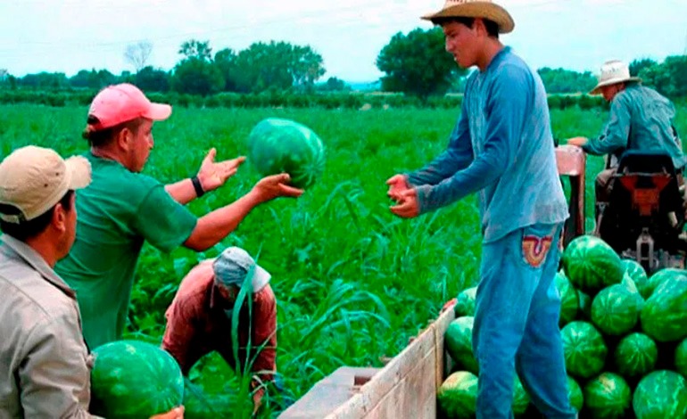 Economía hondureña crece 3.9% impulsada por&nbsp;remesas