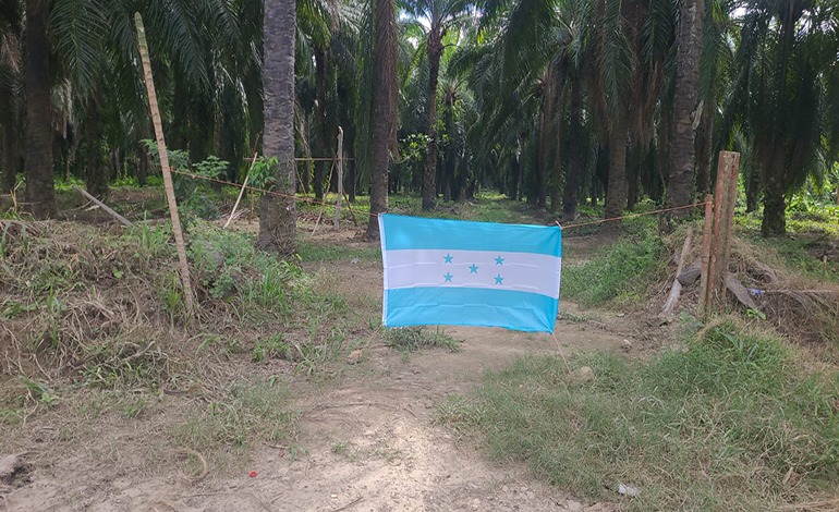 Invasores de tierras avanzan… cruzando el río&nbsp;Ulúa