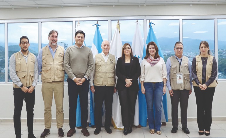 OEA conoce avances logísticos y sin&nbsp;interrupción