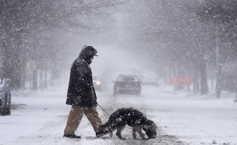 Nevadas y vientos árticos golpean a millones de&nbsp;estadounidenses