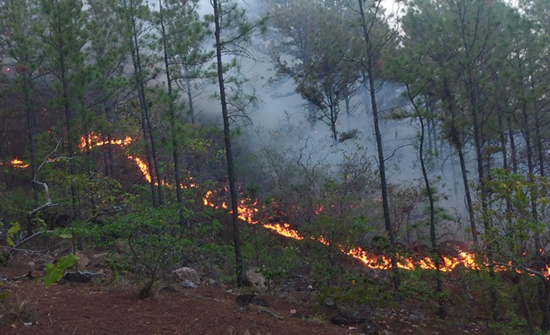 Incendios forestales arrasan el cerro El Mozotal en La Venta,