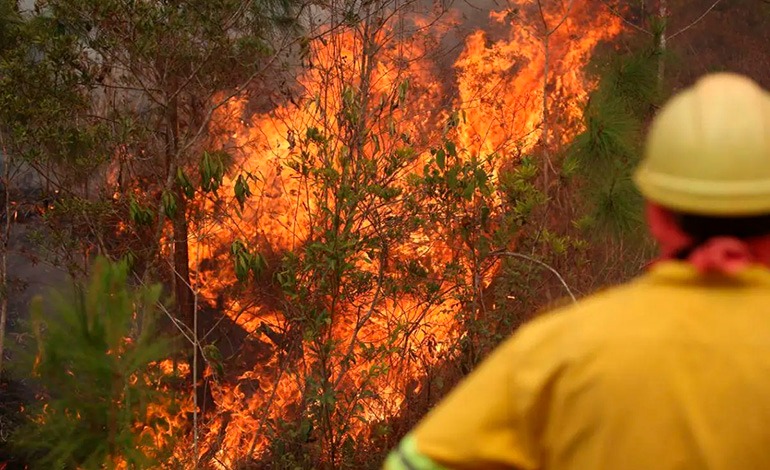 En “pachitas” de guaro llevaron combustible para incendiar La&nbsp;Montañita
