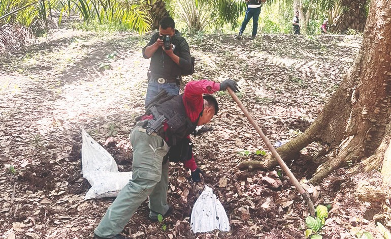 Decomisan fuerte armamento en El&nbsp;Progreso
