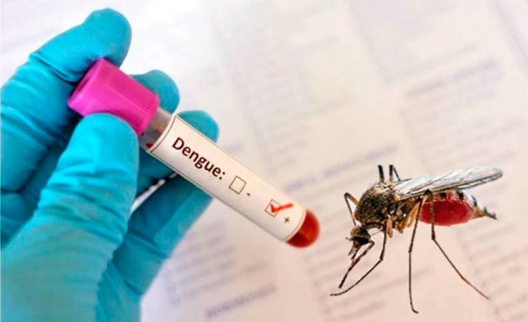 Alerta sanitaria: casi 3 mil casos sospechosos de dengue y 38&nbsp;graves