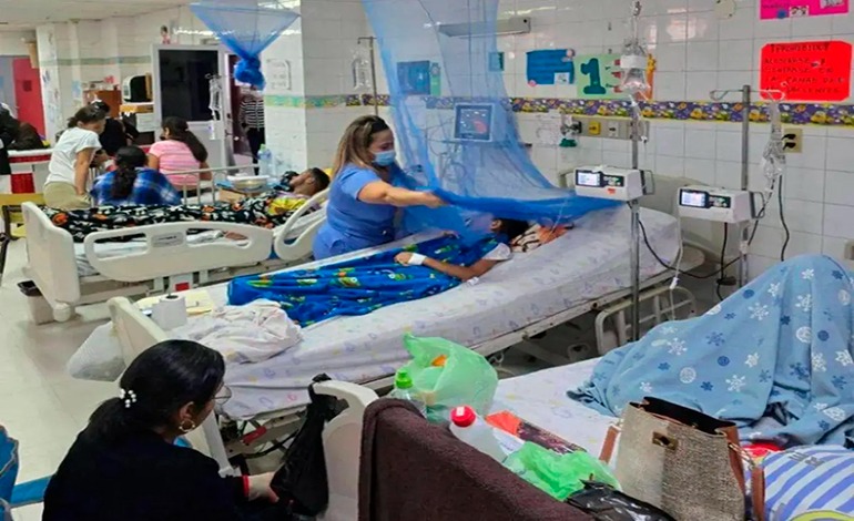 HE atiende 196 casos nuevos de&nbsp;dengue