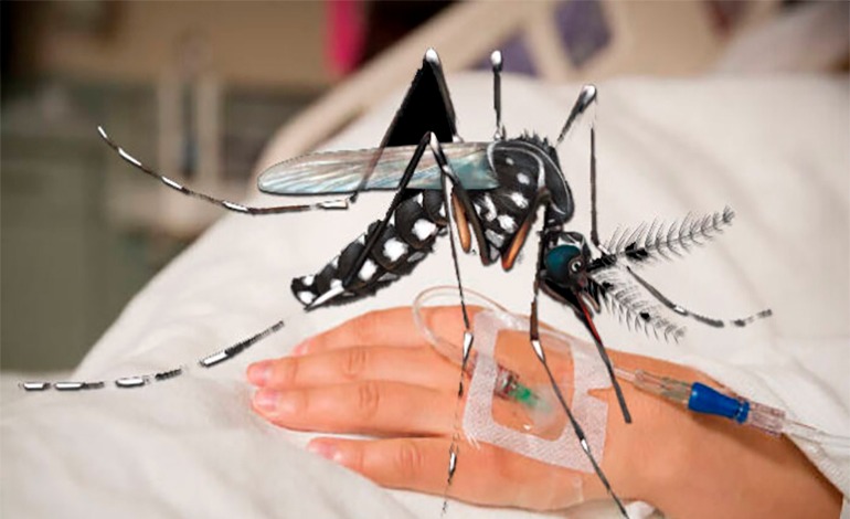 Menor de 14 años muere por sospecha de dengue&nbsp;grave