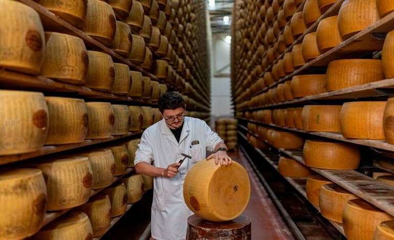 El cambio climático amenaza al corazón del Parmigiano Reggiano en&nbsp;Italia