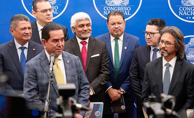 Congreso recibe propuesta de reformas a la Ley Electoral