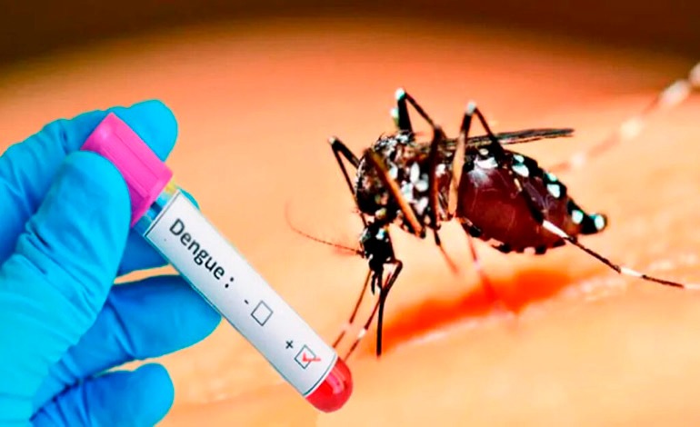 Alerta roja sanitaria: el dengue tipo 3 golpea la población y tiene una mortalidad cercana al&nbsp;10%