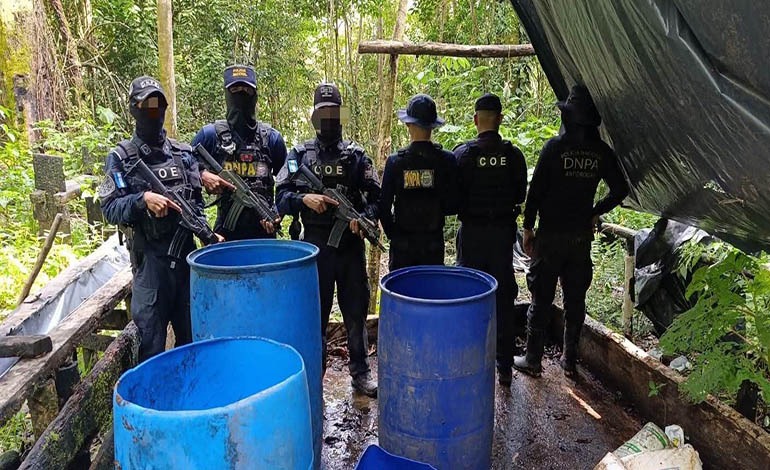 Fuego contra el narcotráfico: incineran gigantesca plantación de coca en Sierra Río&nbsp;Tinto