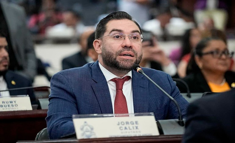 Reformas al subsector eléctrico reorganizan la Enee y mantienen el 100 % de su propiedad en manos del&nbsp;Estado