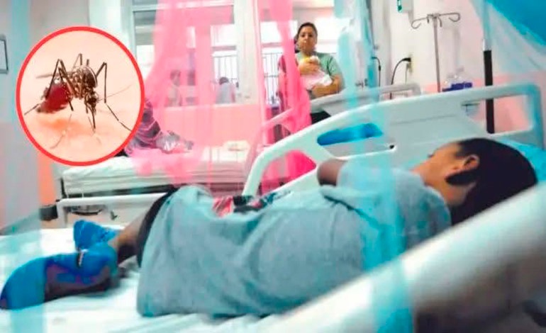 Dengue golpea con&nbsp;fuerza